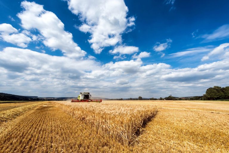 Agri convivial : cultiver autrement, ensemble