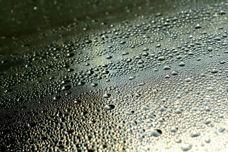 Bac acier anti-condensation : protégez votre toiture